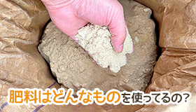 肥料はどんなものを使っているの？