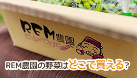 REM農園の野菜はどこで買える？